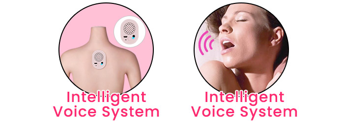 Intelligent-Voice-System